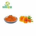 Marigold flower extract Lutein 80% powder