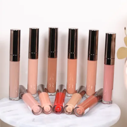 Professional Cosmetics Customization Lip Plump Gloss Private Label Nude Plumping Lip Gloss