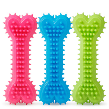 Dog chewing molar teeth clean teeth bone
