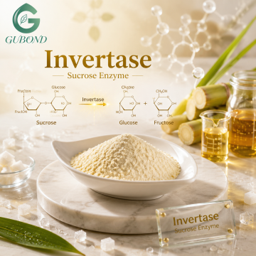 Enzim Invertase Aktivitas Tinggi untuk Hidrolisis Sukrosa