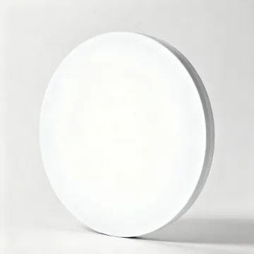 Modern LED Ceiling Light Fixture