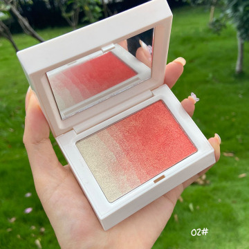 Newest Professional Cosmetic: Two-Color Gradient Blush and Highlight with Square Container
