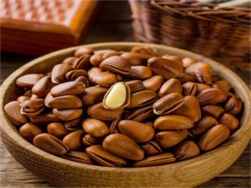 Brazilian pine nut
