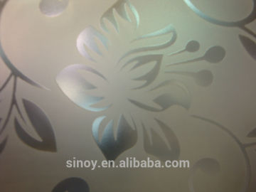 China tempered acid etched glass for shower door in customer size