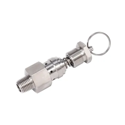 Pressure Relief One Ways Quick Exhaust Valve