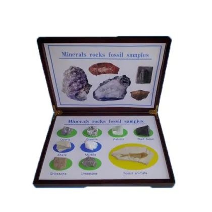 Minerals rocks fossil specimen