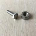 Hot Sale 316 Stainless Steel Hexagon Bolts