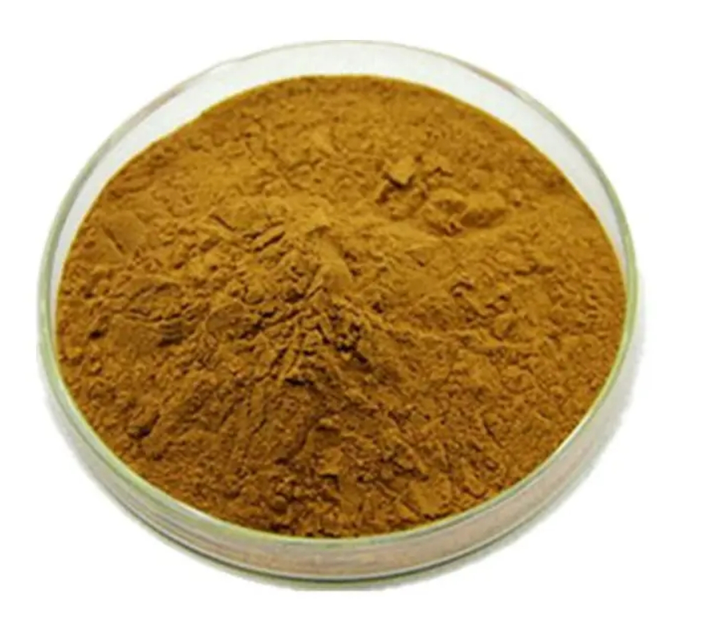 Extracto de alcachofa Artichoke Extract