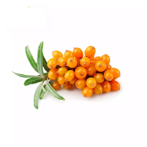 Water Soluble Sea Buckthorn Extract Powder