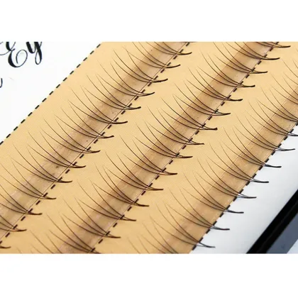 Premade Volume Lash Fans Knot Free Eyelashes