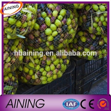 Olive harvester