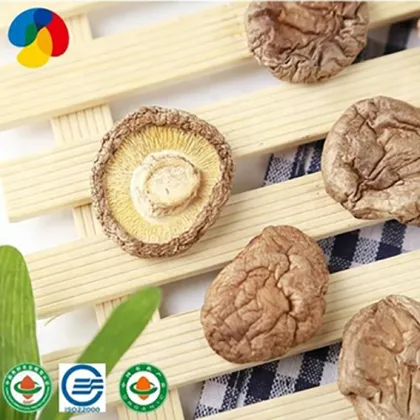 Dry Oak Tree Shiitake Mushroom