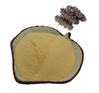 Male Health Supplement Sea Cucumber Peptide