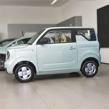 Geely 2023 120km Panda Mini Cute Bear Car