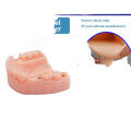 Liquid Silicone para sa Tooth Molds
