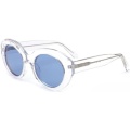 C3 Acetate Glasses Frame Transparent