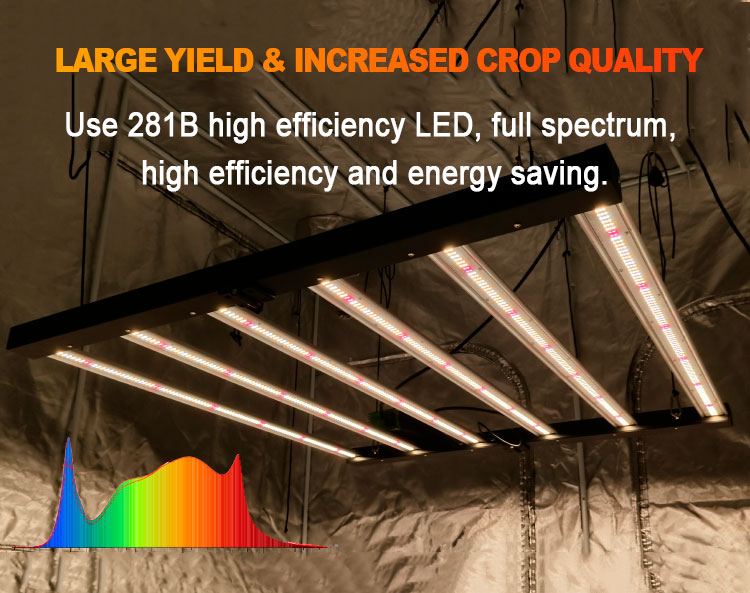 Grow Light 3 Grow Light 3
