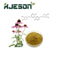 สารสกัด Echinacea ธรรมชาติบริสุทธิ์ 100%