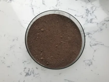 Pure Bee Propolis Extract Powder