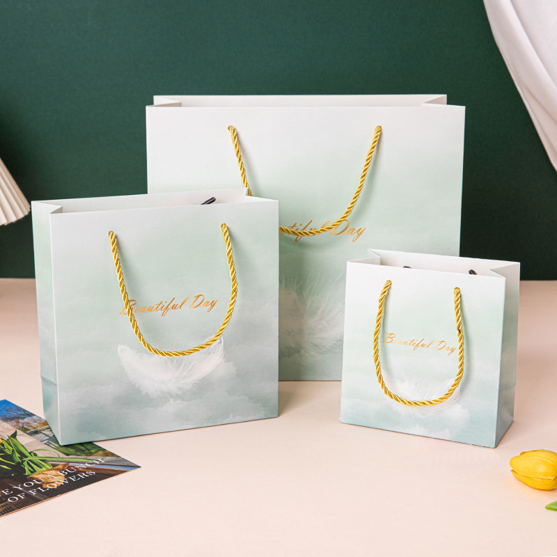 biodegradable paper bag for shopping