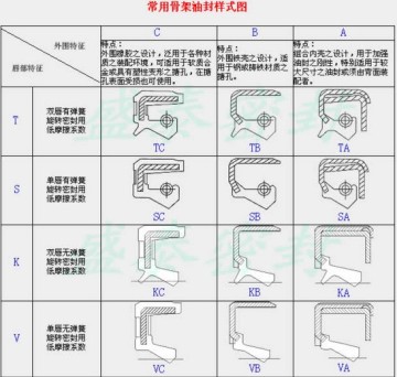 Oil Seal with Skeletion