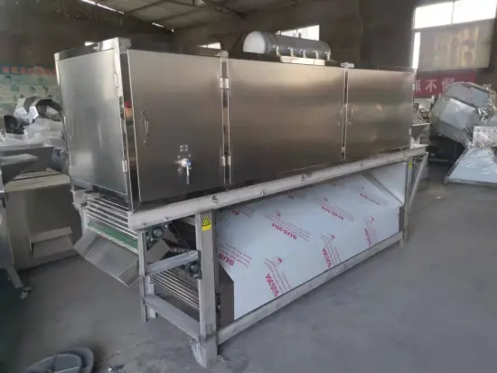 Garlic processing production line