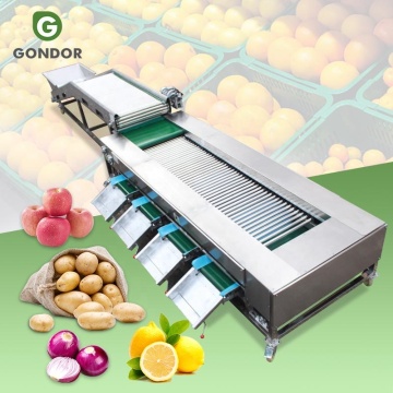 Roller Mangosteen Mushroom Grading Cleaning Mengeringkan Mesin Penyortiran Kentang Wortel Alpukat "Namun, untuk kejelasan dan keringkasan yang lebih baik, Anda mungkin mempertimbangkan:" Multi-Vegetable &amp; Fruit Sorting Machine: Mangosteen, J