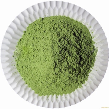 Hot Selling Dehydrated Cucumber Powder Instant Powder