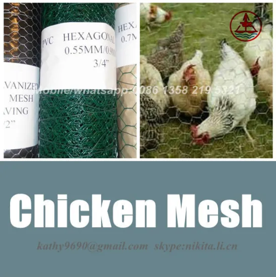 chicken coope hexagonal wire mesh