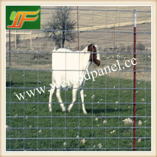 high quality galvanized welded wire mesh panel