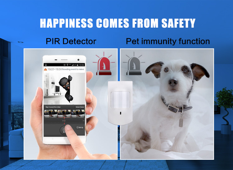 Home Motion Detector