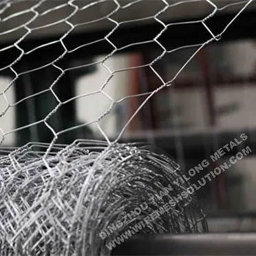 Hot Dipped Galvanized Poultry Netting Chicken Wire Mesh
