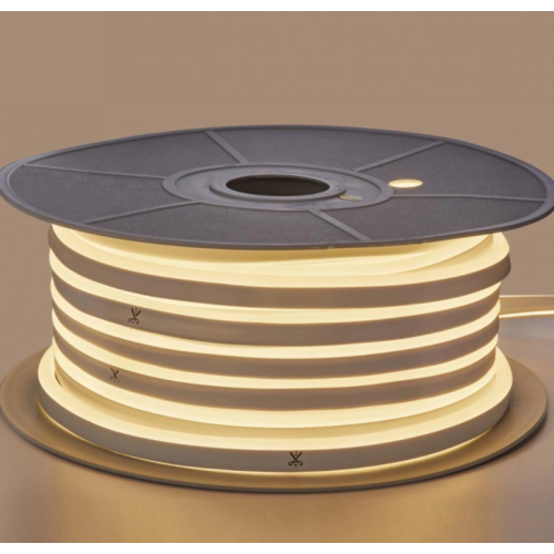 Basso consumo di energia LED Strip neon