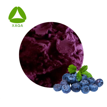 100% Air Soluble Blueberry Extract Polyphenols 80% Bubuk