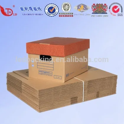 Frozen food shipping box ,frozen food box.