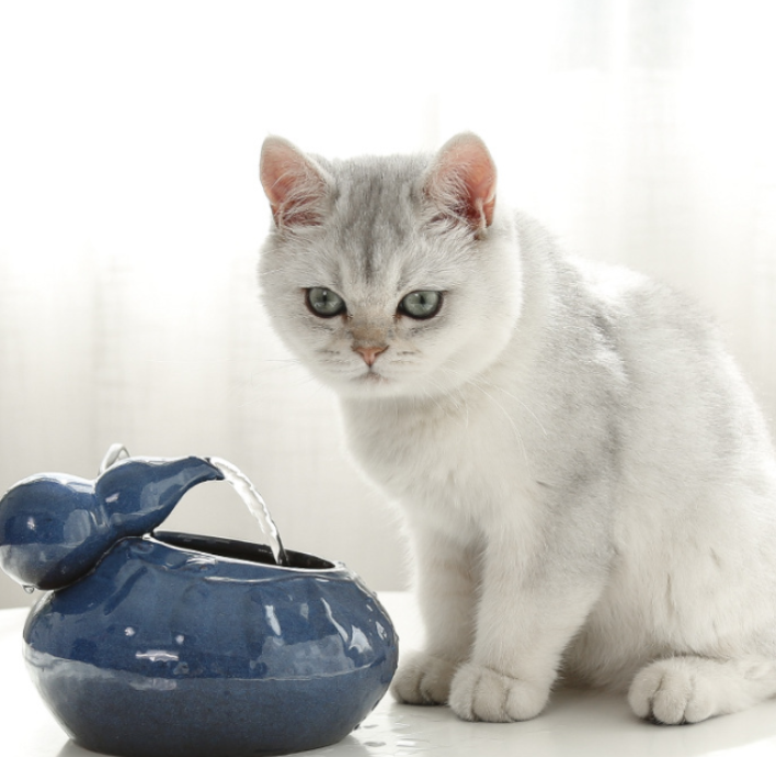 Automatic Ceramic Hoist Pet Water Fountain