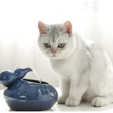 Automatic Ceramic Hoist Pet Water Fountain