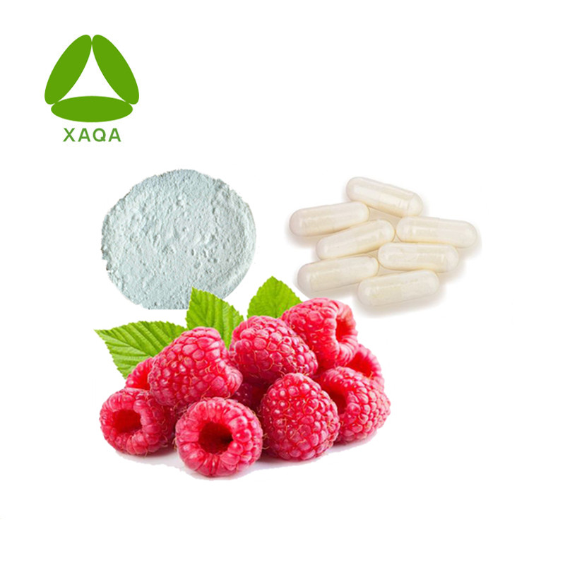 Lose Weight Raspberry Extract Raspberry Ketone 98% Powder