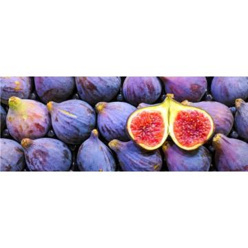 Freeze Dried Ficus Carica Juice Fruit Fig Powder