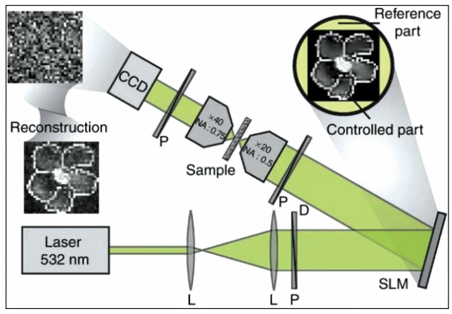 Optical Scattering Imaging