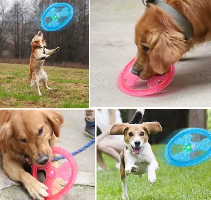 Pet dog Large frisbee