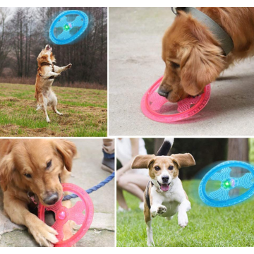 Pet dog grande frisbee
