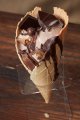 チョコレートアイスクリームウェーハ製品