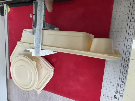 PLA FOOD trays with Clear Rigid Biodegradable PLA Film Food Grade Packaging Film