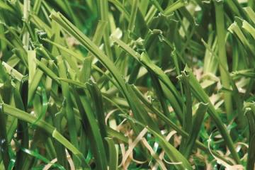 MT-Superior Residential Artificial Grass