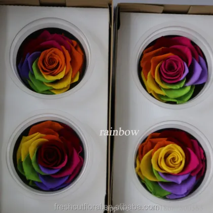 Wholesale 6-7cm Wide Red Fresh Preserved Rose Flowers