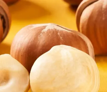 Delicious Hazelnut Kernel Product