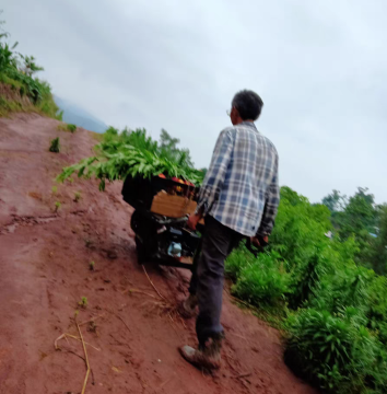 Agricultural Electric Unicycle for Orchard Transport