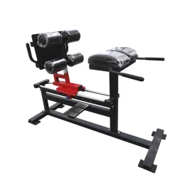 Gym or Home Equipment Adjustable Roman Chair
