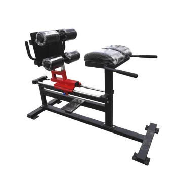 Gym or Home Equipment Adjustable Roman Chair